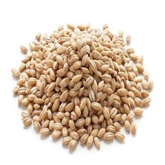 Barley Ari