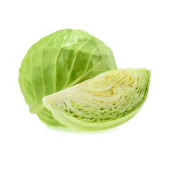 Cabbage 